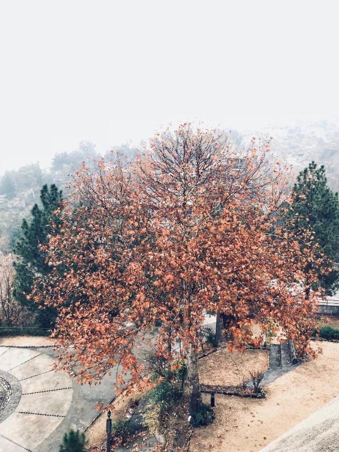Rock City Resort Mingora ภายนอก รูปภาพ